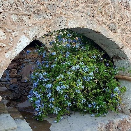 Tania Village Zakros Maisonette エクステリア 写真