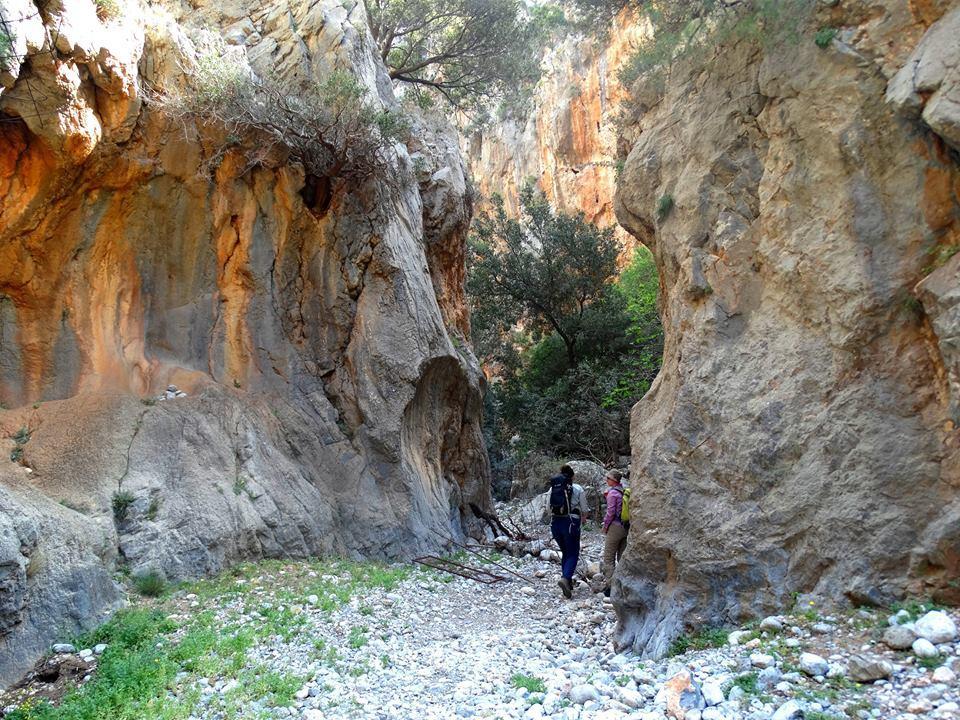 Tania Village Zakros Maisonette エクステリア 写真